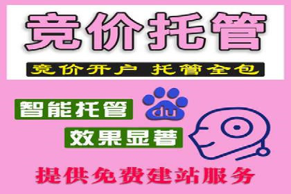 托管竞价SEM助力企业快速崛起